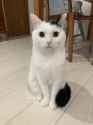 @takeru0321neko_1748857024534978941_20240120-235621