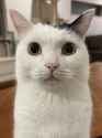 @takeru0321neko_1874410675331883470_20250101-110144