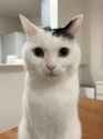 @takeru0321neko_1865348575045259302_20241207-105211