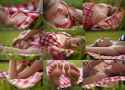 Taylor-PicnicSweat-6