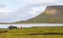 Búlandshöfði, iceland