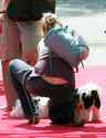 95693_KatherineHeiglOldNavy01