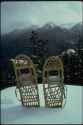 Snow Shoes
