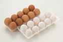 Eggs, Brown and White