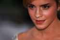 EmmaWatson-NationalMovieAwards2008_ _29_