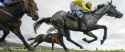 horse race
