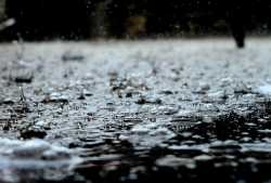 drops