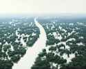 tomas_sanchez_-_inundacion_de_rio_de_aguas_blancas__1998