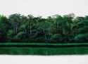 tomas_sanchez_-_orilla__1988