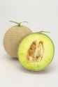 Canteloupe