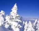 snow