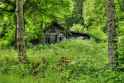 old_forest_home_by_burtn-d699dw3