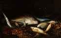 fish oil painting