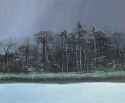 tomas_sanchez_-_aguacero_a_la_orilla__1989