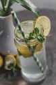 Fresh_mojito