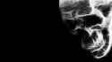 Skull (1)