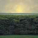 tomas_sanchez_-_paisaje__1996