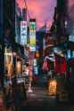 kobe night