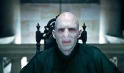 voldy1