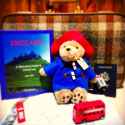 paddington_bear