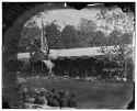 1865 Mathew Brady, Washington, D.C. View in front of Presidential reviewing stand, May 1865