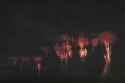 Night sprites