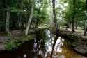 DSC_1064_Les