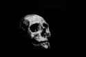 Skull_on_grayscale
