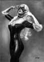 black cat
