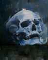 skull study