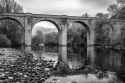 Pont_de_Ceps_03