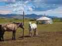 mongolia3