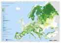 forestseurope