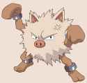 Primeape