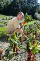 carrot farmer