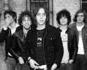 The_Strokes_by_Roger_Woolman