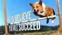 if you believe
