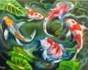 koi painting