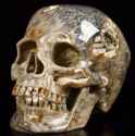 carved coral skull