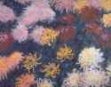 Chrysanthemum (1897)