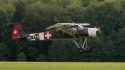 storch