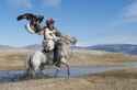 eagle hunter