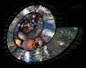 Nature_Timespiral