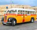 BUS malta