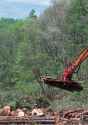 logging activity