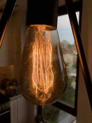 1902 bulb