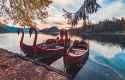 lake-bled-swan-boats-slovenia