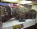 steppe bison