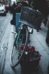 blue bike with front basket
