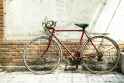 red five rams citybike